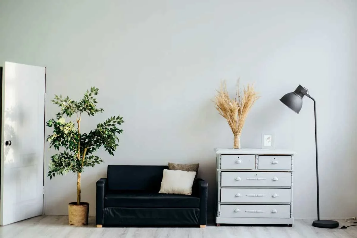 Pintura decorativa en pared interior